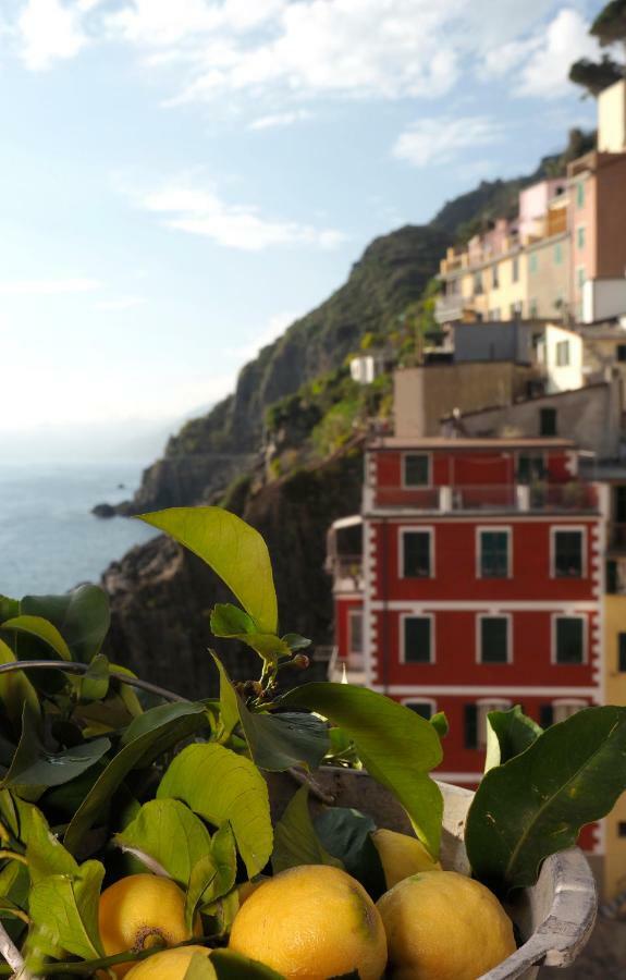 Ai Pesci Room Rental Riomaggiore Exteriör bild